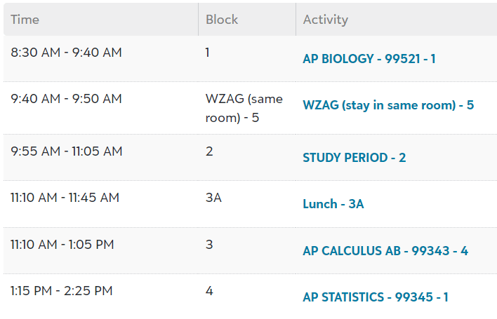 My issues with the block schedule