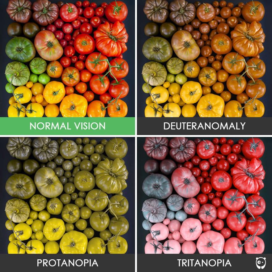  Photo from https://midtownvision.com/blog-posts/types-color-blindness