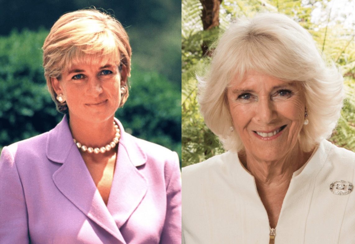 Lady Diana Spencer (left), Queen Camilla (right) 
https://upload.wikimedia.org/wikipedia/commons/c/c9/Queen_Camilla_in_Aotearoa_2019.jpg 
https://upload.wikimedia.org/wikipedia/commons/5/5e/Diana%2C_Princess_of_Wales_1997_%282%29.jpg 