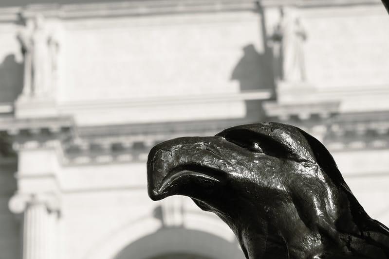 An Eagle, Gonzaga's mascot, found in downtown DC. Photo from Tim Barloon, Class of 2023 on Gonzaga Flickr