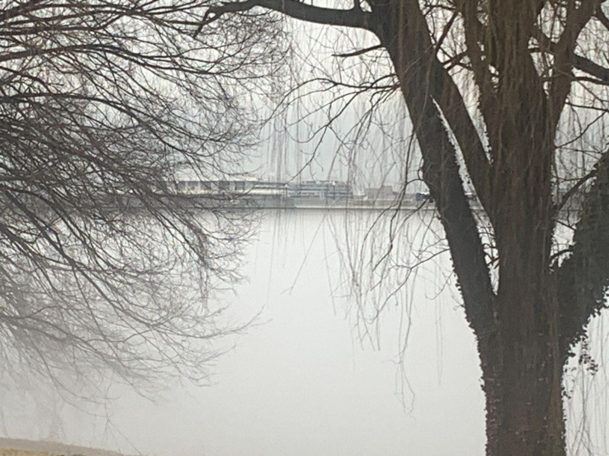 The 80 -degree temperature day caused fog to form throughout the area, notably around the Potomac River on January 25. Photo taken by Brendan Rohde